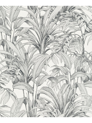 Dutch Wallcoverings Asperia - Aliare - Wit/Zwart Dutch Wallcoverings Asperia - Aliare - Wit/Zwart