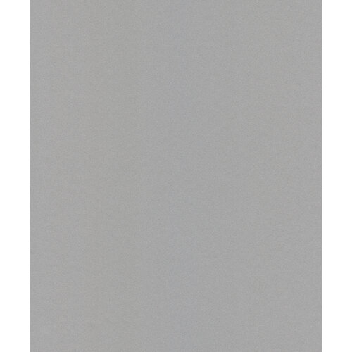Dutch Wallcoverings Asperia - Uni - Zilver