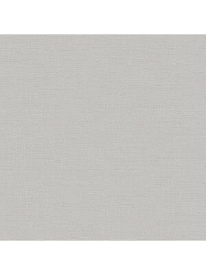 Dutch Wallcoverings Wall Fabric/Bs1 Linen Silver - Zilver Dutch Wallcoverings Wall Fabric/Bs1 Linen Silver - Zilver