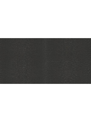 Dutch Wallcoverings FC Roberto Cavalli 9- panter zwart - 21044