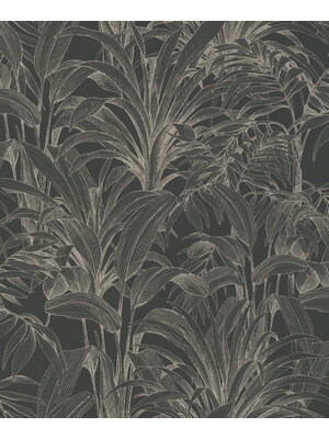 Dutch Wallcoverings Asperia - Aliare - Zwart/Zilver