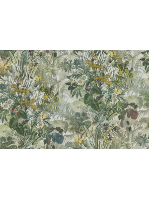 Dutch Wallcoverings FC Blumarine 5 10mx106cm - 29051