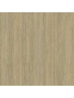 Dutch Wallcoverings Elements - Trä Nature