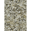 Dutch Wallcoverings FC Fusione- 53cmx10m - 73506