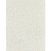 Dutch Wallcoverings FC Fusione- 53cmx10m - 73509 Dutch Wallcoverings FC Fusione- 53cmx10m - 73509