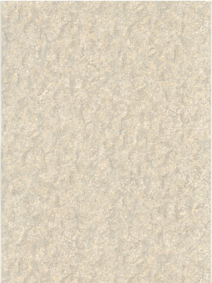 Dutch Wallcoverings FC Fusione- 53cmx10m - 73511
