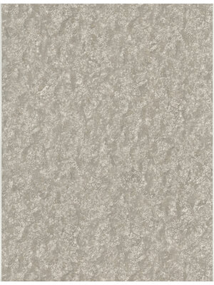 Dutch Wallcoverings FC Fusione- 53cmx10m - 73512