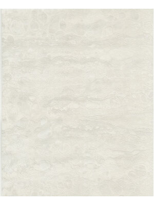 Dutch Wallcoverings FC Fusione- 53cmx10m - 73520
