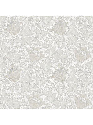 Dutch Wallcoverings Hidden Treasures - Anemone Wit/Beige