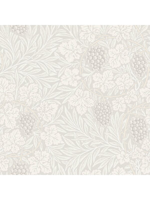 Dutch Wallcoverings Hidden Treasures - Vine Wit