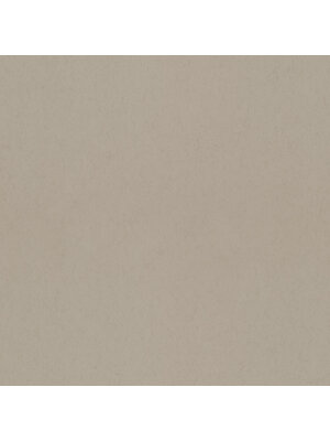 Dutch Wallcoverings FC Kulör- uni Mud - 77023