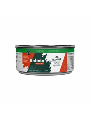 Bolivia Synthetische Lakplamuur