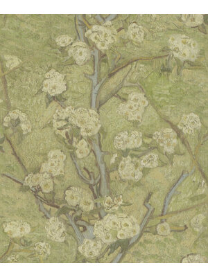 Van Gogh 221521 Van Gogh 221521