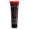 Royal Talens Amsterdam Standard Series Acrylverf Tube 20 ml - Omber Gebrand 409