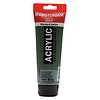 Royal Talens Amsterdam Standard Series Acrylverf Tube 250 ml - Olijfgroen Donker 622
