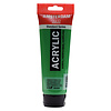 Royal Talens Amsterdam Standard Series Acrylverf Tube 250 ml - Permanentgroen Licht 618