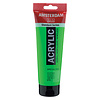 Royal Talens Amsterdam Standard Series Acrylverf Tube 250 ml - Reflexgroen 672