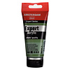 Royal Talens Amsterdam Expert Series Acrylverf Tube 75 ml - Chroomoxydgroen 668