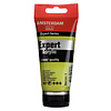 Royal Talens Amsterdam Expert Series Acrylverf Tube 75 ml - Geelgroen 617