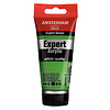 Royal Talens Amsterdam Expert Series Acrylverf Tube 75 ml - Permanentgroen Licht 618