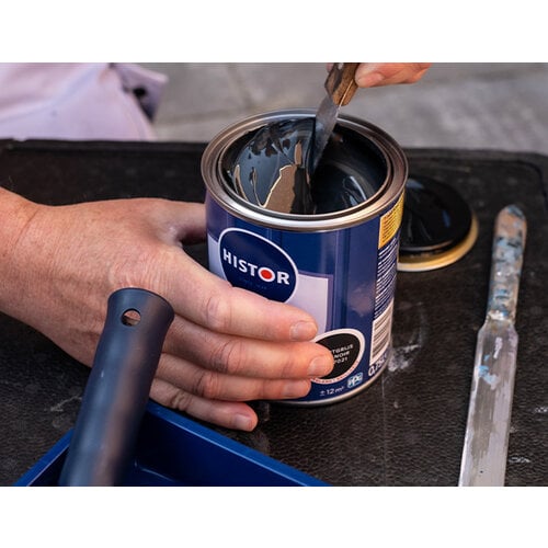Histor Perfect Protection Buitenlak Zijdeglans - Grachtengroen