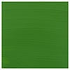 Royal Talens Acrylverf - 120 ml - Permanentgroen Licht 618