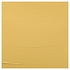 Royal Talens Acrylverf - 120 ml - Napelsgeel Donker 223 Royal Talens Acrylverf - 120 ml - Napelsgeel Donker 223