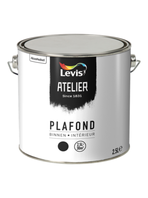 Levis Atelier Plafond Levis Atelier Plafond