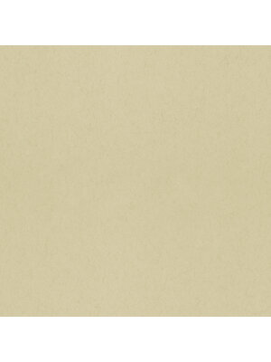 Dutch Wallcoverings FC Kulör- uni Fennel - 77010