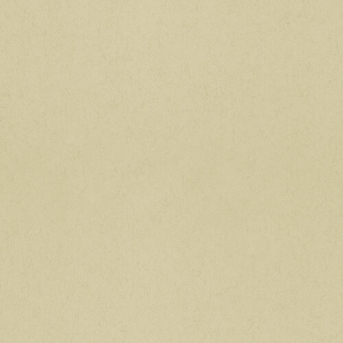 Dutch Wallcoverings Kulör - Uni Fennel Dutch Wallcoverings Kulör - Uni Fennel