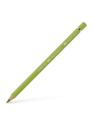 Aquarelpotlood Albrecht Dürer - 170 meigroen