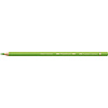 Polychromos - 166 grasgroen