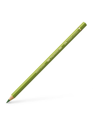 Kleurpotlood Polychromos - 168 aardegroen/geel