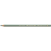 Polychromos - 172 aardegroen