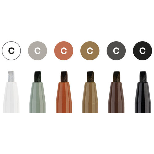 Tekenstift Pitt Artist Pen - kalligrafieset 6x