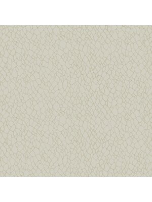 Noordwand Boutique Behang met abstracte organische print - DWP0232-01 Noordwand Boutique Behang met abstracte organische print - DWP0232-01