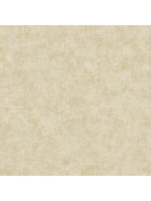 Noordwand Elegance Behang betonlook - AM22009-1