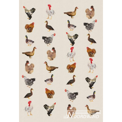 Noordwand Farmlife Behang kippen en ganzen - 3750026