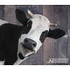 Noordwand Farmlife Behangposter koe - 3750065