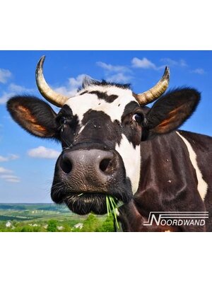 Noordwand Farmlife Behangposter koe - 3750067