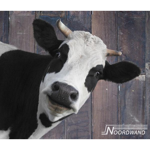 Noordwand Farmlife Behangposter koe - 3750074