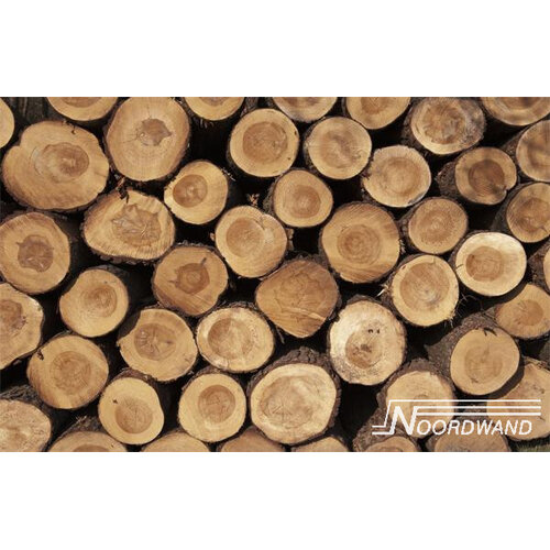 Noordwand Farmlife Fotobehang boomstammen - 3750011