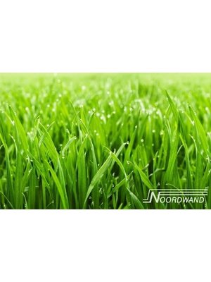 Noordwand Farmlife Fotobehang gras - 3750010