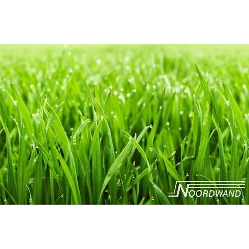 Noordwand Farmlife Fotobehang gras - 3750010