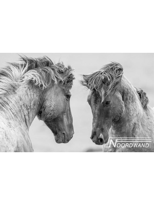 Noordwand Farmlife Fotobehang paarden zwart-wit - 3750020