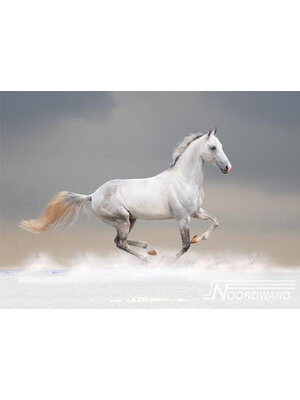 Noordwand Farmlife Fotobehang wit paard - 3750012