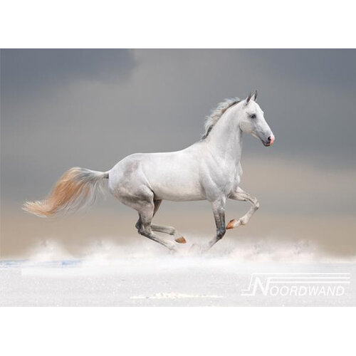 Noordwand Farmlife Fotobehang wit paard - 3750012