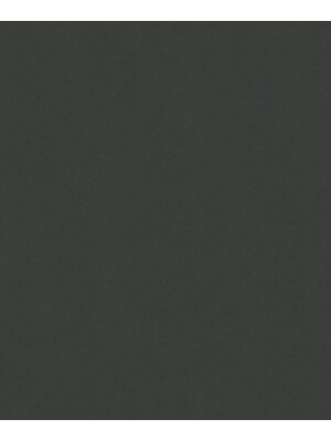 Noordwand Flora; Kylie; Mona Behang uni zwart - 42024 Noordwand Flora; Kylie; Mona Behang uni zwart - 42024