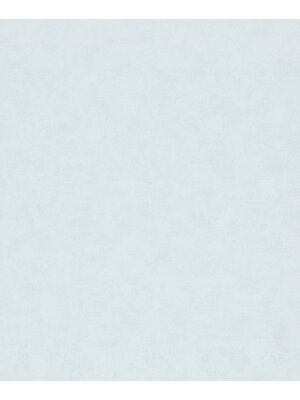 Noordwand Flora; Shades Iconic Behang uni - 34414