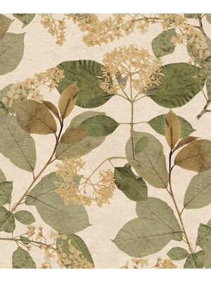 Noordwand Herbarium Behang met bladeren en bloemen - HE27230